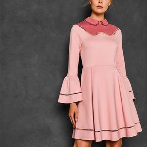 NWT Ted Baker Pale Pink Ladder Lace Skater Dress